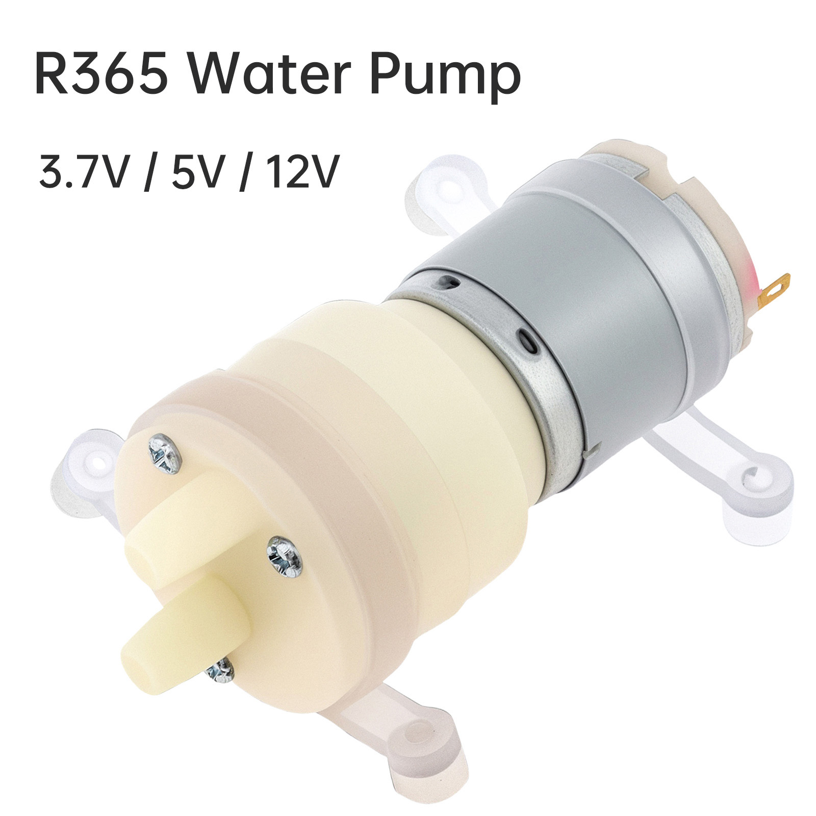 Mini Peristaltic Pump 12V - R365 محرك مضخة مياه صغير تيار